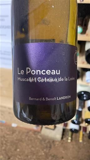Thung lũng sông Loire Muscadet-Coteaux-de-la-Loire Bernard & Benoit Landron Le Ponceau 2013
