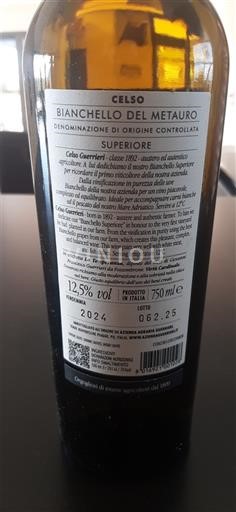 Vine Blanc sec Celso Guerrieri 2024 Italien Marche Bianchello del Metauro DOC