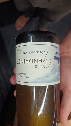 Wijnen Blanc sec Les Endrinies Terre Amandine 2019 Frankrijk Rhônevallei Côtes-du-rhône AOC