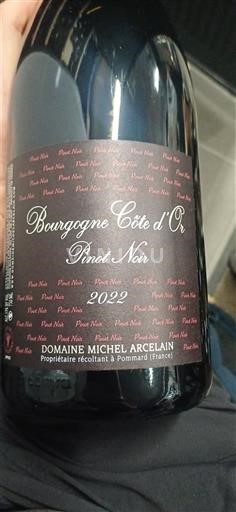 Burgundy Burgundy Côte d'Or Domaine Michel Arcelain Pinot Noir 2022