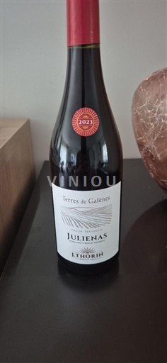 Beaujolais Juliénas E. Thorin Terres de Galènes 2023