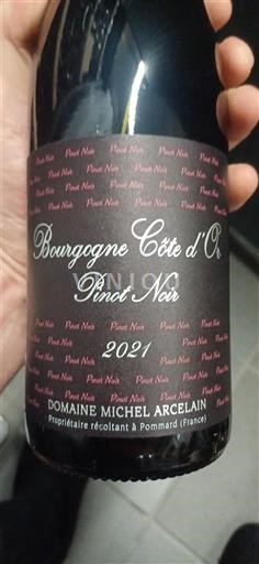 Burgundy Burgundy Côte d'Or Domaine Michel Arcelain 2021