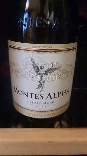 Údolí Aconcagua Aconcagua Costa Montes Alpha 2022