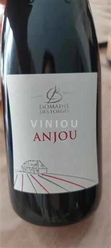 Loire Valley Anjou Domaine Des Forges 2024