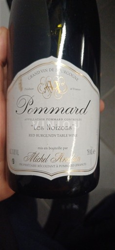 Burgundy Pommard Domaine Michel Arcelain Les Noizons 2007