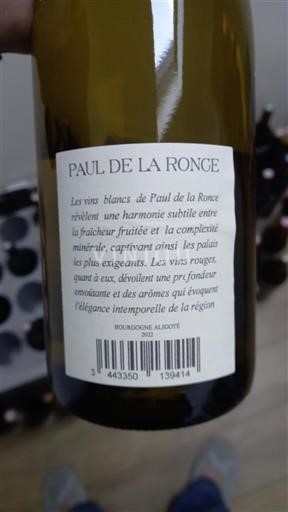 Burgundi Bourgogne Aligoté Paul de la Ronce Ei vuosikertaa