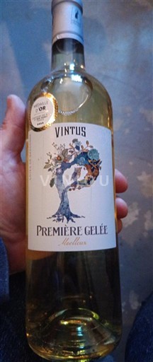 Jihozápad Côtes de Gascogne Vintus Première Gelée 2023