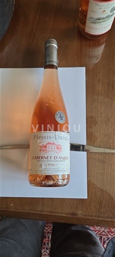 Loirevallei Cabernet d'Anjou Plessis-Duval 2015