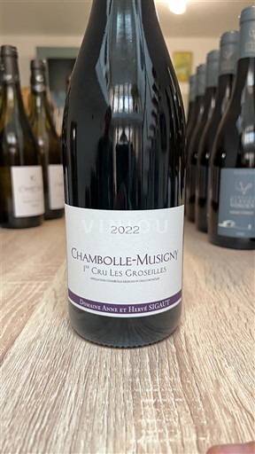 Bourgogne Chambolle-Musigny Premier Cru Domaine Anne et Hervé Sigaut 1er Cru Les Groseilles 2022