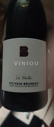 Thung lũng sông Loire Saint-Nicolas-De-Bourgueil Sylvain Bruneau Les Ponts 2023