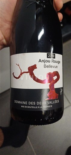 Vale do Loire Anjou Domaine Des Deux Vallées Bellevue 2019
