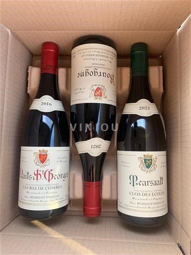 Bourgogne Domaine Michel Noëllat 2021