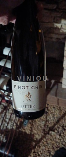 Alsasko Rulandské šedé Domaine Otter 2019