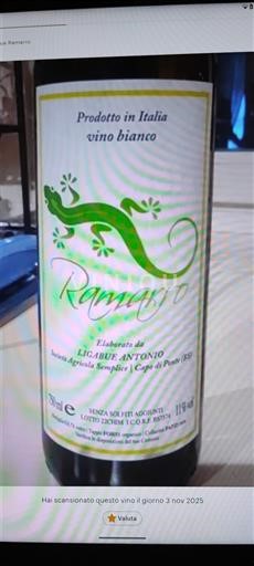 Lombardie Antonio Ligabue Ramarro Non Millésimé