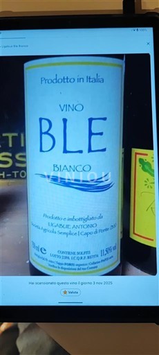 Lombardie Antonio Ligabue Ble Bianco Non Millésimé