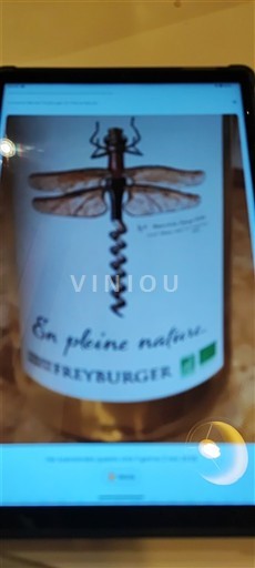 Alsacia Domaine Freyburger Marcel En pleine nature Sin añada