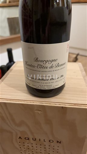Bourgogne Domaine Billard Père et Fils 2023