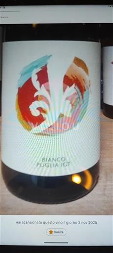 Puglia Niet gespecificeerd I Parieti Bianco Puglia IGT Niet-geïntegreerd