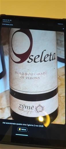 Veneto Non specificato Zýme Oseleta 2009