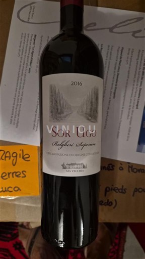 Toscane Aia Vecchia Sor Ugo 2016