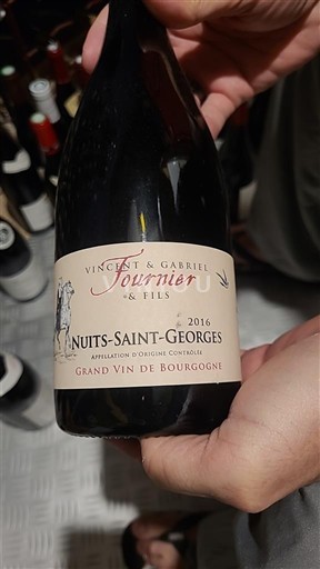 Burgundsko Nuits-saint-georges Vincent & Gabriel Fournier & Fils 2016
