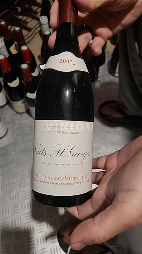 Burgund Nuits-Saint-Georges Domaine Guy & Yvan Dufouleur 2007