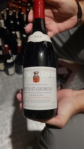 Burgundija Nuits-Saint-Georges Domaine Robert Chevillon Les Argilliats 2018
