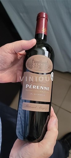 Bordeaux Blaye-Côtes-de-Bordeaux Château Pérenne Non-Vintage