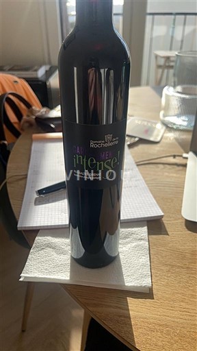 Borgoña Vignobles Rochebin Cab Intense Sin añada