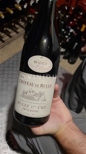Bourgogne Ikke specificeret Premier Cru Château Rully Molesme 2020