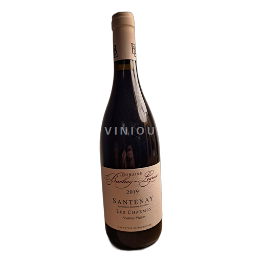 Bourgogne Santenay Domaine Bachey-Legros Les Charmes 2019