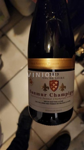 Loirevallei Saumur-champigny A. Aubron-Proint 2023