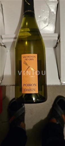 Vine Blanc sec Sauvignon Fie Gris Poiron Dabin 2023 Frankrig Loire-dalen Loiredalen IGP