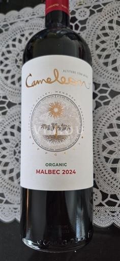 Mendoza Cameleon 2024