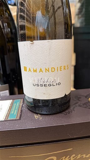 Rhônen laakso Châteauneuf-du-Pape Stéphane Usseglio Les Amandiers 2021