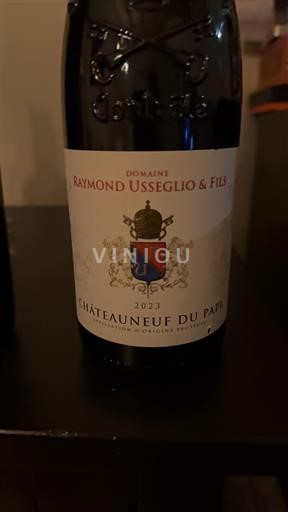 Vinuri Rouge sec Domaine Raymond Usseglio & Fils 2023 Franța Valea Ronului Châteauneuf-du-Pape AOC