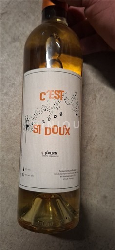 Sud-Ouest Côtes de Gascogne Jallion C'est si doux 2008