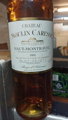 Sud-Ouest Haut-montravel Château Moulin Caresse Magie d'Automne 2004