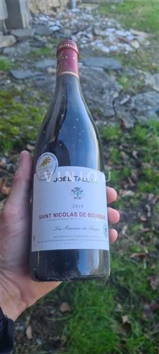 Valle del Loira Saint-Nicolas-De-Bourgueil Joël Taluau Les Rouillères du Champ 2019
