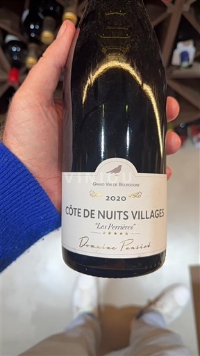 Burgundi Côte de Nuits -kylät Domaine Parigot Les Perrières 2020