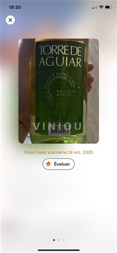 Portugalsko Vinho verde Torre de Aguiar Neročník