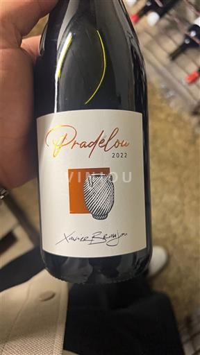 Beaujolais Beaujolais Villages Xavier Bénier Pradelou 2022