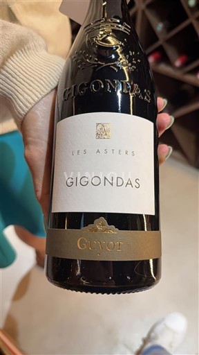 Rhône Valley Gigondas Guyot Les Asters 2022