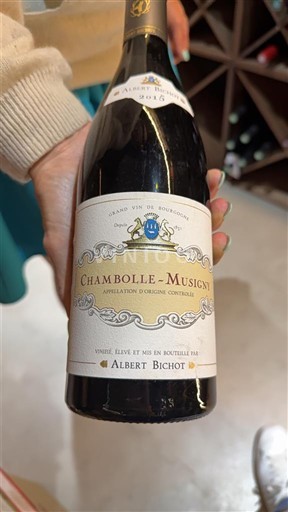 Borgonha Chambolle-Musigny Albert Bichot 2015