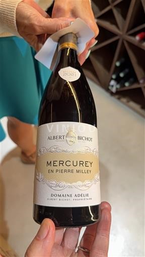 Bourgogne Mercurey Domaine Adélie En Pierre Milley 2021