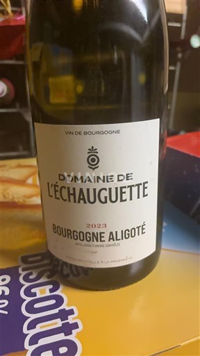 Burgundi Bourgogne Aligoté Domaine L'Échauguette 2023