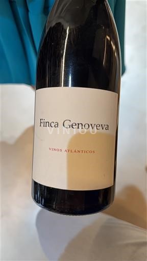 Wines Rouge sec Finca Genoveva 2019 Spain Galicia Rías Baixas DO