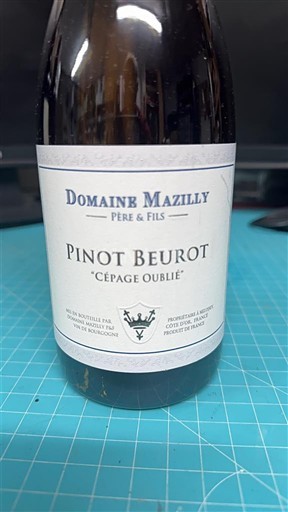 Burgundi Bourgogne Domaine Mazilly Père & Fils Pinot Beurot Cépage Oublié 2022