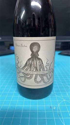 AVAs californianas Sonoma Coast Hélène-Bellus 2022