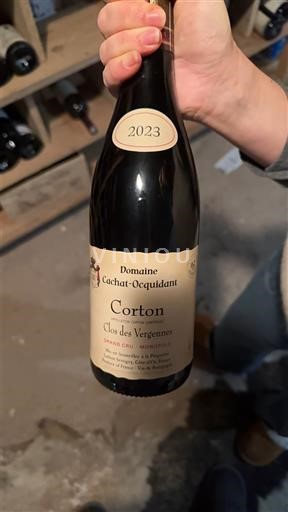 Burgundsko Corton Grand Cru Domaine Cachat-Ocquidant Clos des Vergennes 2023